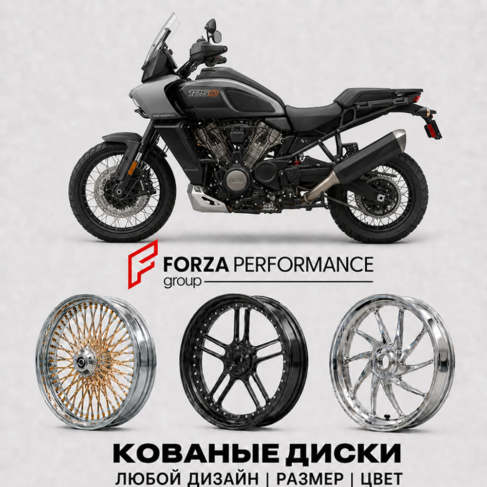 Кованые диски для Harley Davidson Pan America