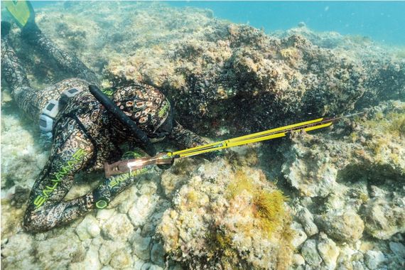 Ружьё-арбалет подводное Salvimar Metal Krypsis 85