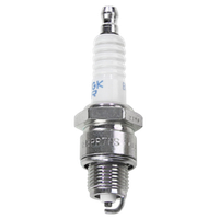 Свечи зажигания NGK BPR7HS-10 (1092) Mercury 5л.с 2т