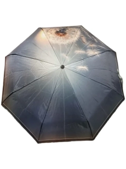 Зонт DINIYA 267