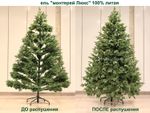 Искусственная ель «Монтерей» (Литая хвоя) 150 см / 1.5 м
