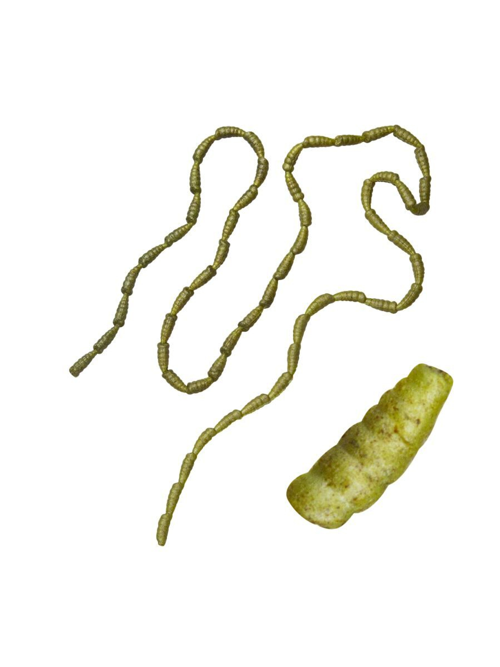 Приманка мягкая опарыш Berkley PowerBait Micro Power Maggot, 1 см, 110 шт, White