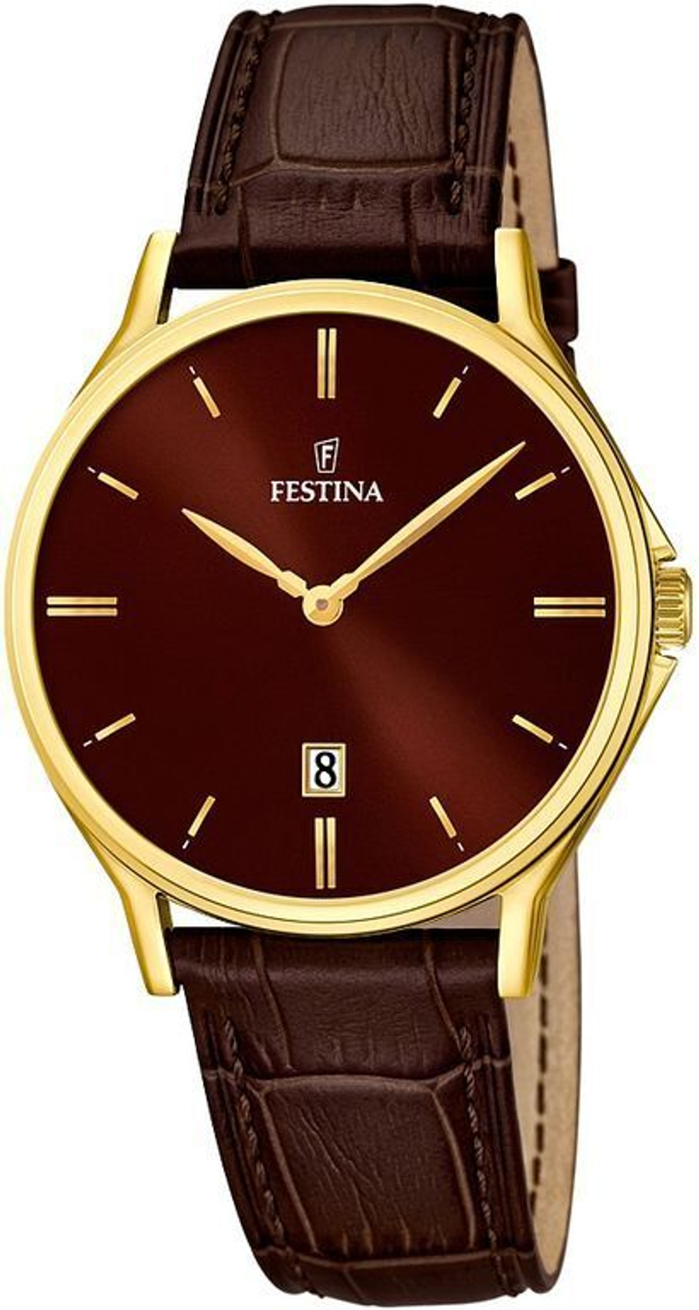 Мужские наручные часы Festina F16747/3