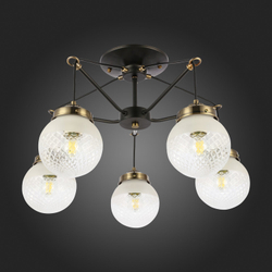 Светильник потолочный Evoluce Stricce SLE110302-05