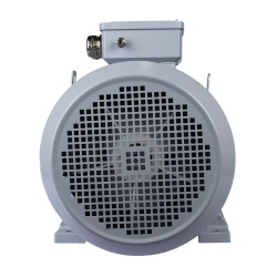 Электродвигатель ESQ PR 160 L2-SDN-Б1-S12-IE2 18,5/3000 IMB35