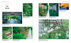 RHS Design Outdoors: Projects & Plans for a Stylish Garden