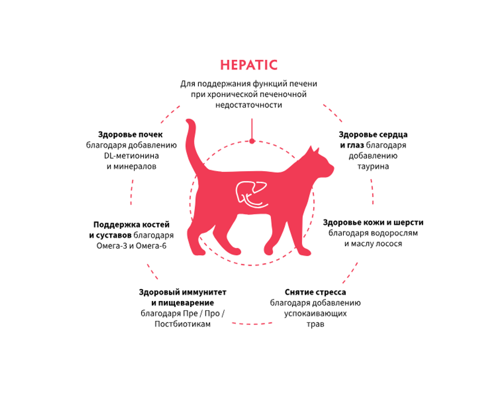 GRANDORF HEPATIC сухой корм для кошек / для поддержания функции печени при хронической печеночной недостаточности (400 гр)