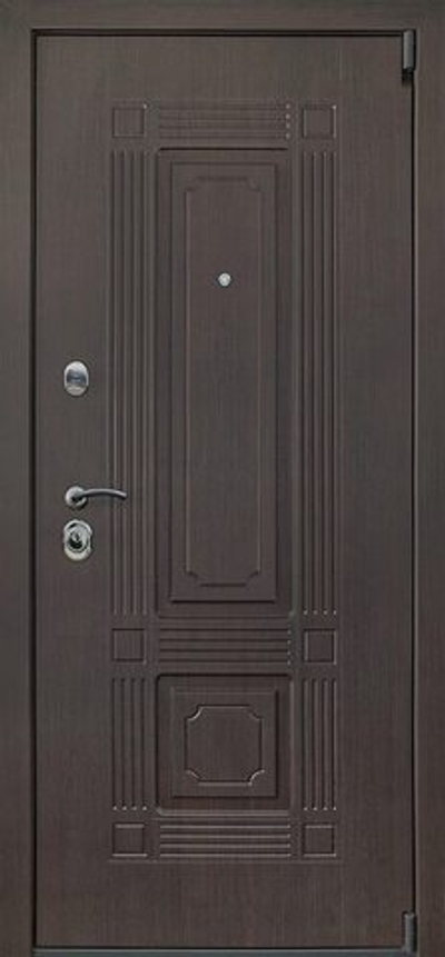 Стальная дверь "Викинг"