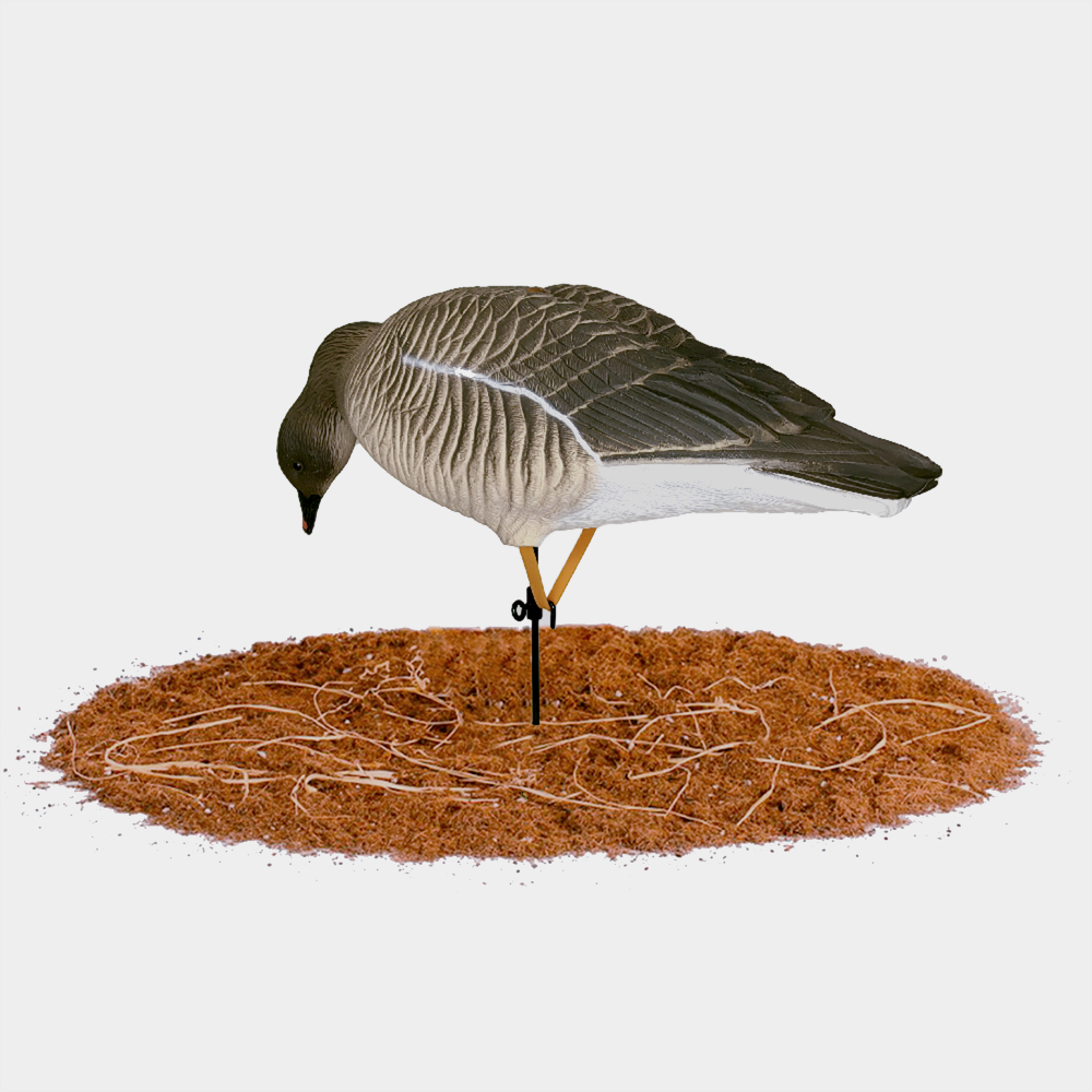 Гусь гуменник Duck Mania "ALFA"