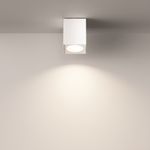 Потолочный светильник Technical C030CL-01W