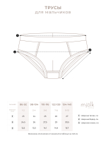 Трусы для мальчика Mjölk Сет из 3х штук, Молнии