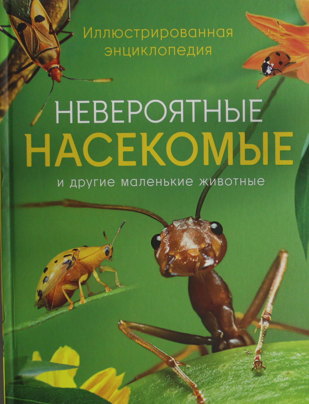 Невероятные насекомые. Иллюстрированная  энциклопедия