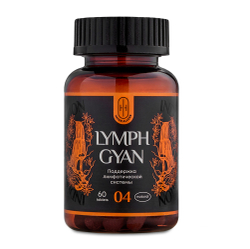 LYMPH GYAN Аюрведический комплекс ЛИМФ ГЯН Лимфодренаж 60шт