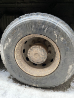 Shacman (Shaanxi) SX* 8x4 Самосвал SX331863366 (Дизельный, 12,5 л, 544 л.с., МТ)