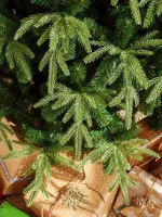 Ель искусственная «Форесто» (Литая+пвх) 150 см / 1.5 м