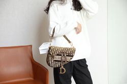 Christian Dior Saddle Bag 25 cm