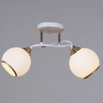 06117-0.3-02 WH+FG светильник потолочный