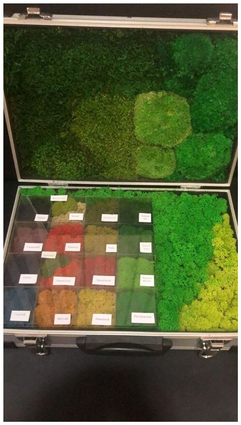 Комбинированное панно из мха