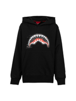 Худи Sprayground