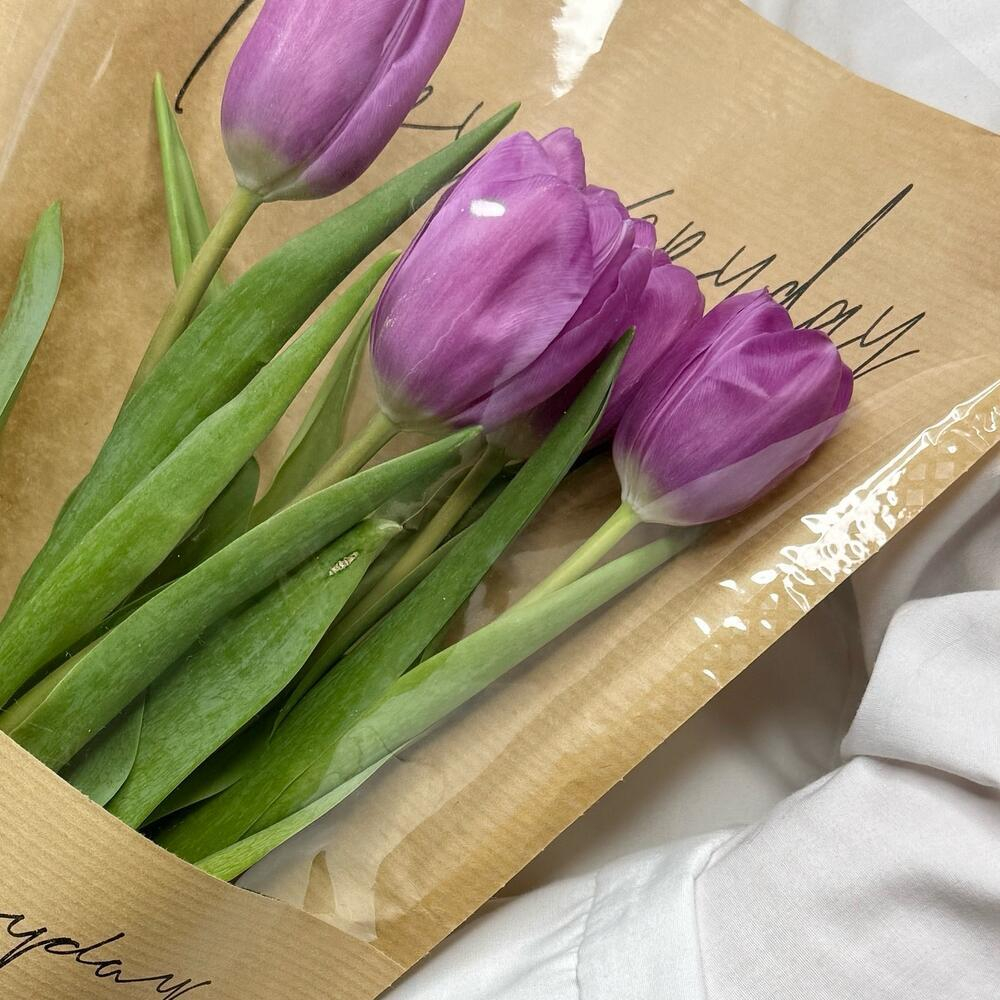 5 фиолетовых тюльпанов в упаковке