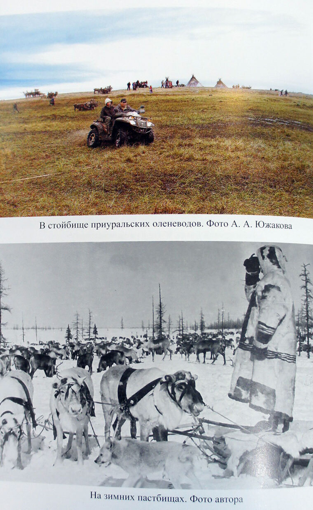Рождённые Арктикой