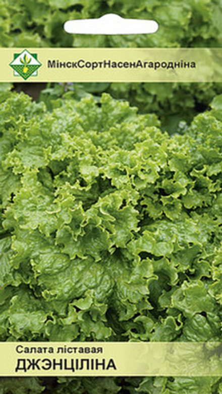 Салат листовой "Джентилина" 0,8г, Италия.