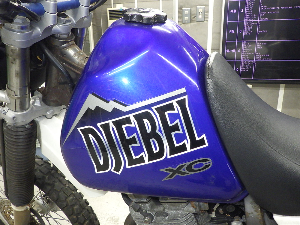 Suzuki Djebel 250XC 2002