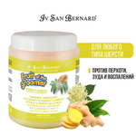 Маска Iv San Bernard Fruit of the Groomer Ginger&Elderbery восстанавливающая с противовоспалительным эффектом 1000 мл
