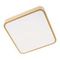 Потолочный светодиодный светильник Loft IT Flims 10228/C