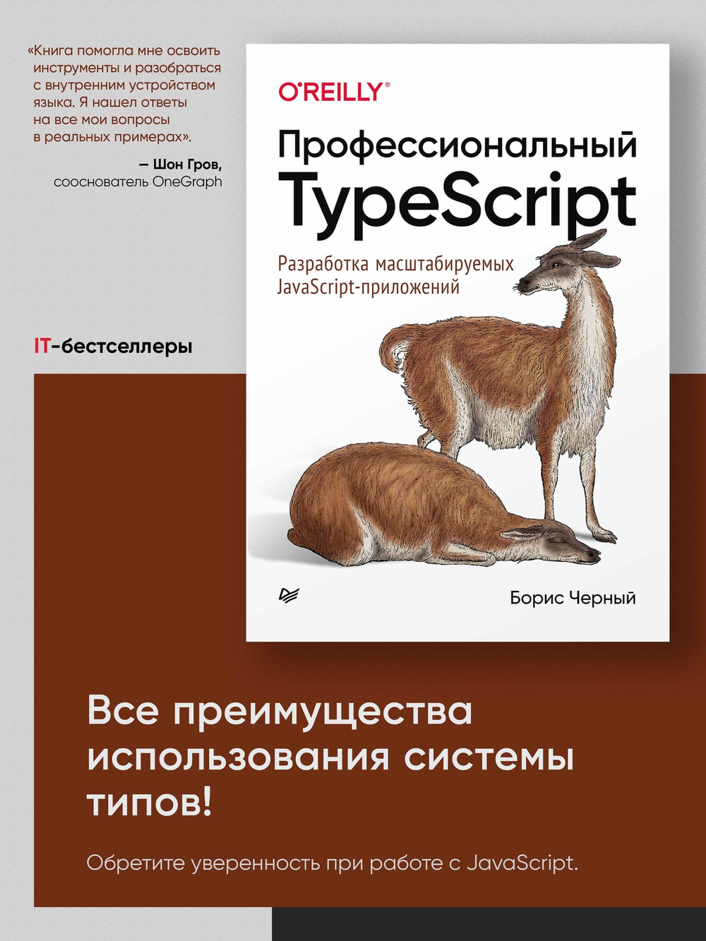 Профессиональный TypeScript. Разработка масштабируемых JavaScript-приложений