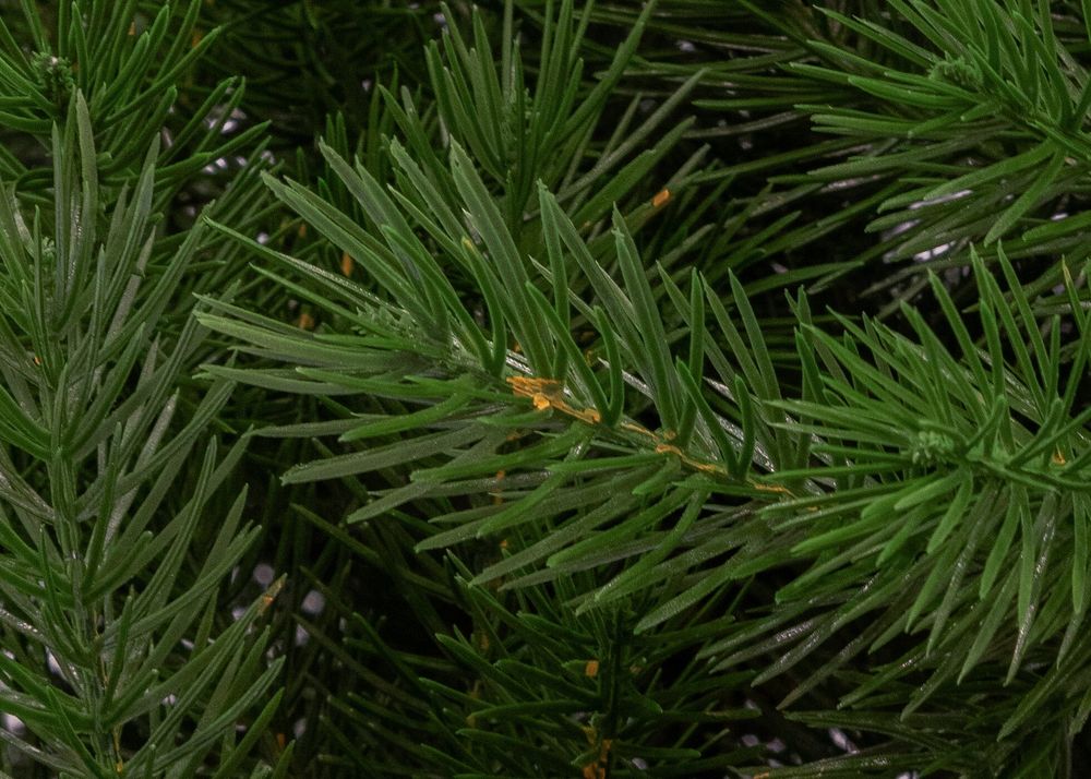 Ель искусственная «Алтея» (Литая хвоя) 230 см / 2,3 м