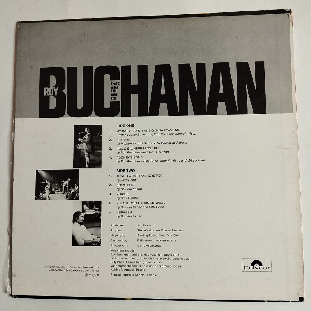 Винтажная виниловая пластинка Roy Buchanan That What I Am Here For (Japan 1974) (No Obi)
