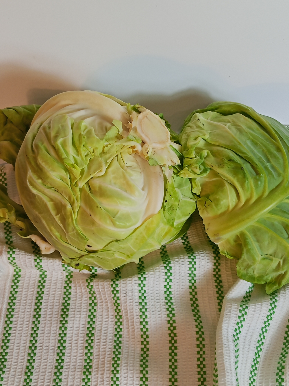 Капуста молодая