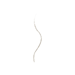 wet n wild, Ultimate Brow, карандаш для бровей, темно-коричневый, 0,06 г (0,002 унции)