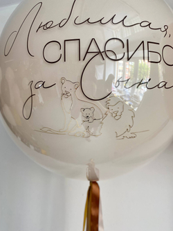 Воздушные шары на выписку мальчика Лев №3483