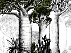 ZOO 19