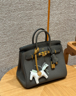 Hermes Birkin 25