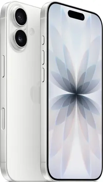 17 256 White