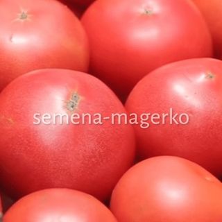 Томат Пинк Кристал F1 250 (семян)