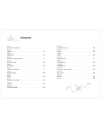 Хроники Виззарии. Хранители времени