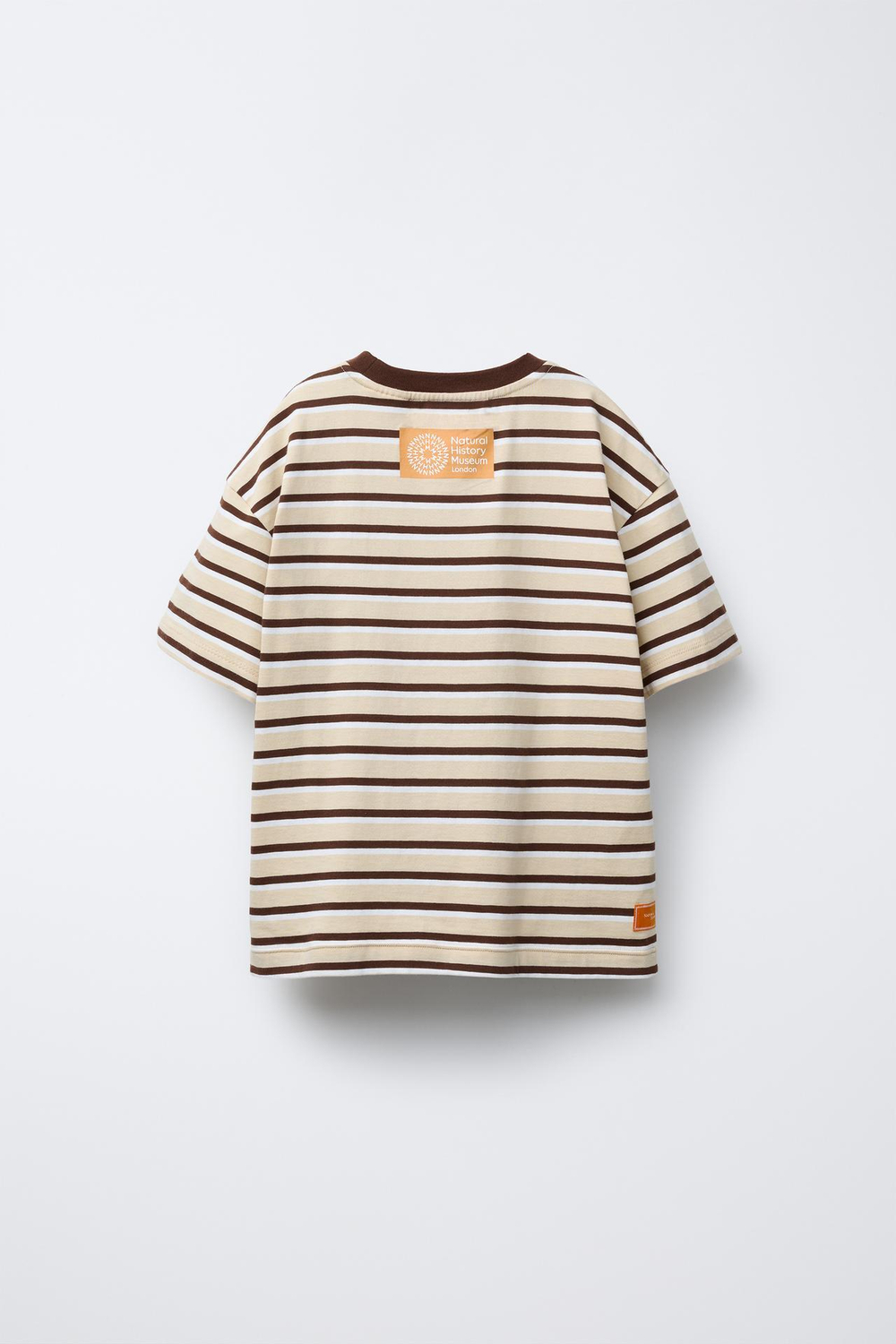 ZARA ФУТБОЛКА В ПОЛОСКУ С НАШИВКОЙ NATURAL HISTORY MUSEUM LONDON ©, ПОЛОСКИ