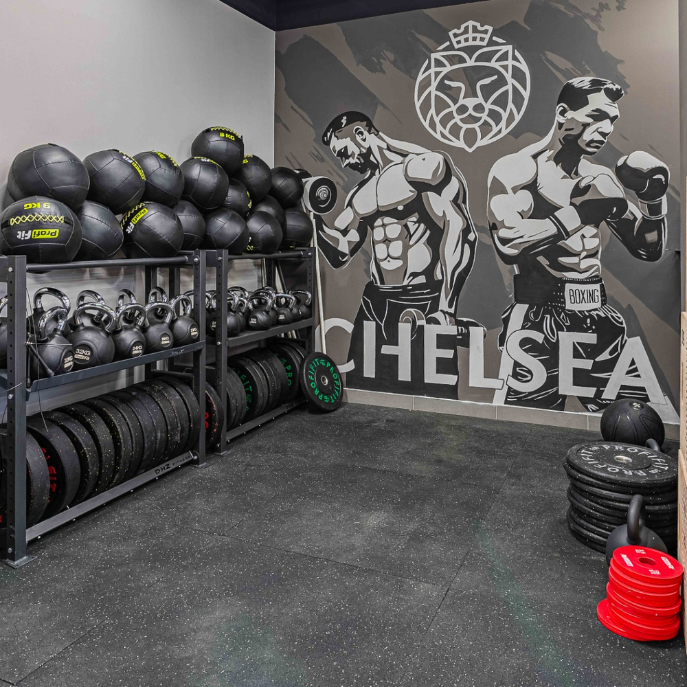 Диск обрезиненный цветной D51 мм PROFI-FIT 2,5 кг