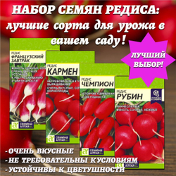 Набор семян редиса: лучшие сорта для урожая в вашем саду. Семена Алтая