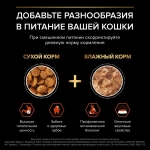 Сухой корм Лосось  для взрослых кошек от 1 года, 10кг Pro Plan