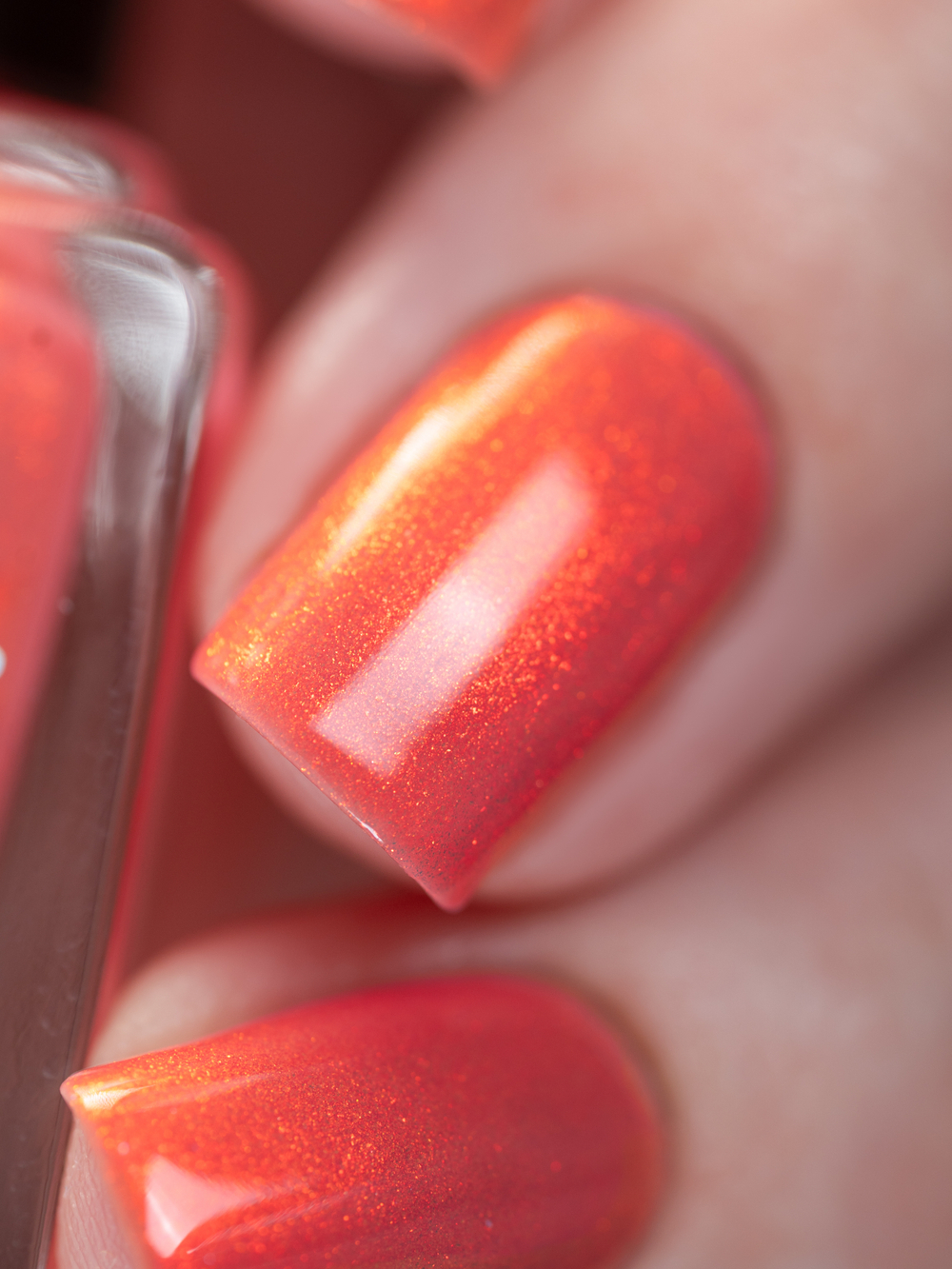 Скандальный Оранжевый