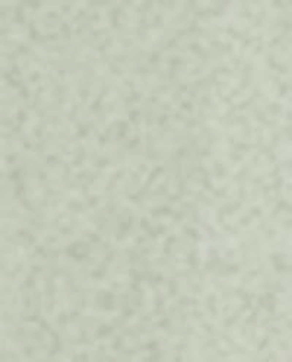 Zara Home Аромадиффузор Fleur de Musc 100 мл, тростниковые палочки микадо, аромат цветочный древесный, Розовый