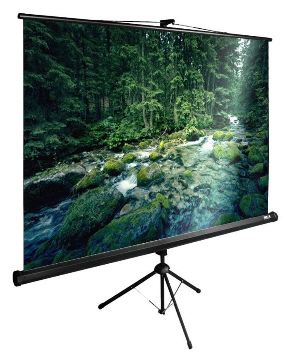Экран  Cactus CS-PSTE-220X165-BK