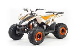 Квадроцикл MOTOLAND 125 Coyote (2021 Г.)