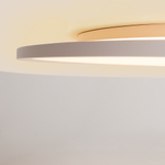 Потолочный светильник Maytoni MOD426CL-L74WK