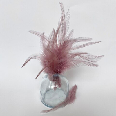 Перья петуха какао 10 - 15 см. 20 шт.